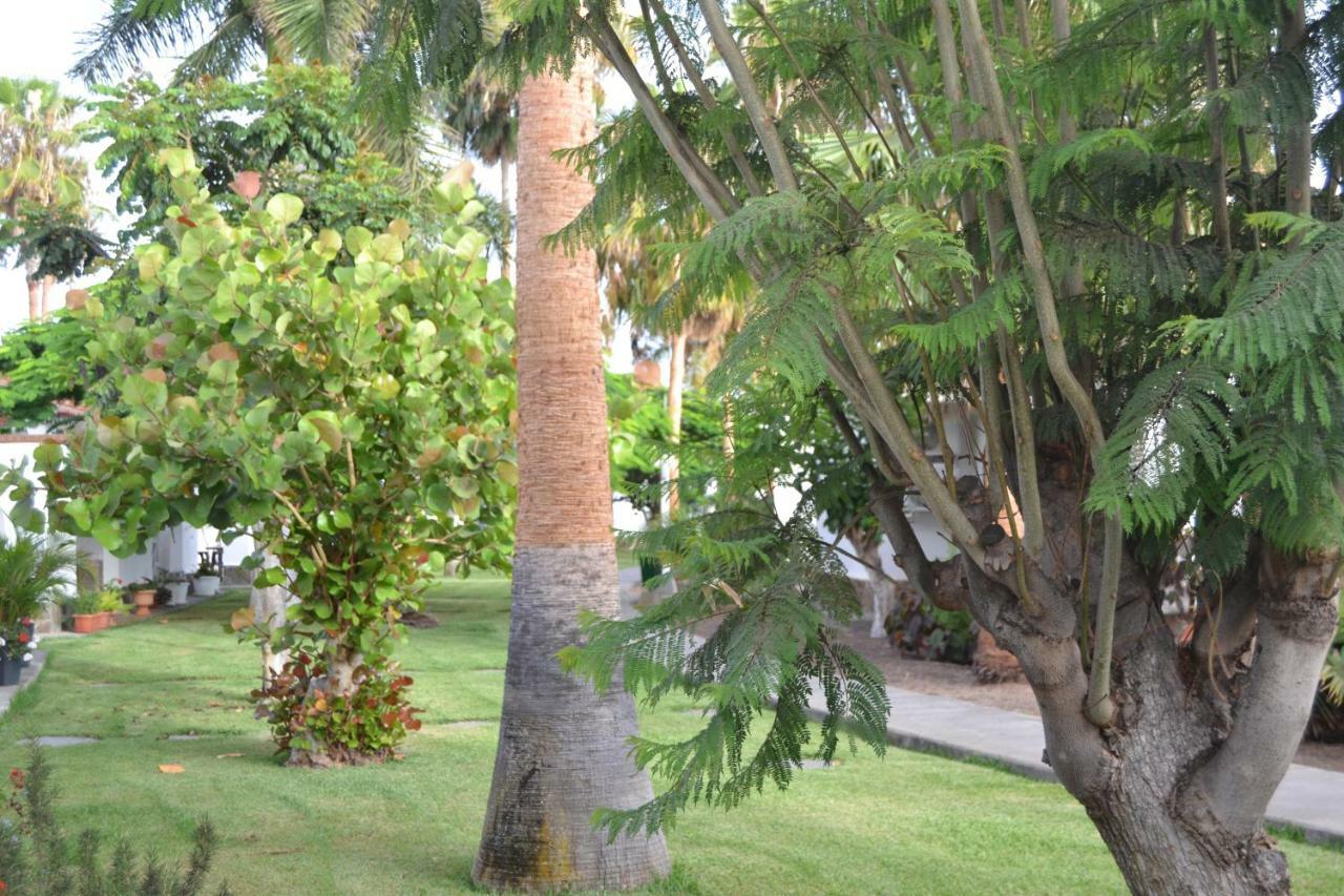 Maspalomas Experience Holiday House Extérieur photo